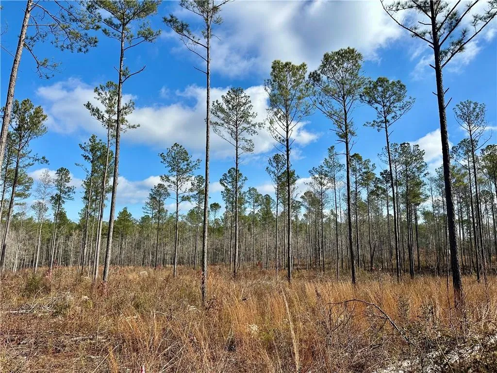 Additional image 3 of Lee Rd 278, Salem, AL 36874