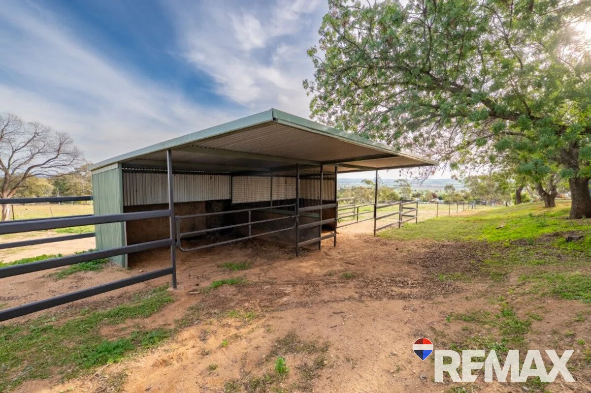 Additional image 19 of 3779 Olympic Highway, Junee NSW 2663