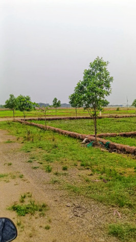 Additional image 2 of Patrapada, Bhubaneswar