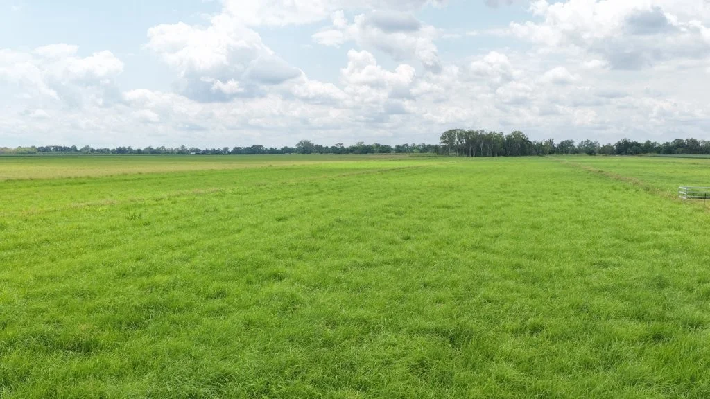Additional image 18 of 625 Shirbourne Road, Giru QLD 4809