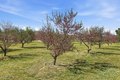 Additional image 31 of 7624 E Avenue U, Littlerock, CA, 93543