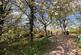 Additional image 27 of Caber Cottage, Wordsworth Court, Penistone