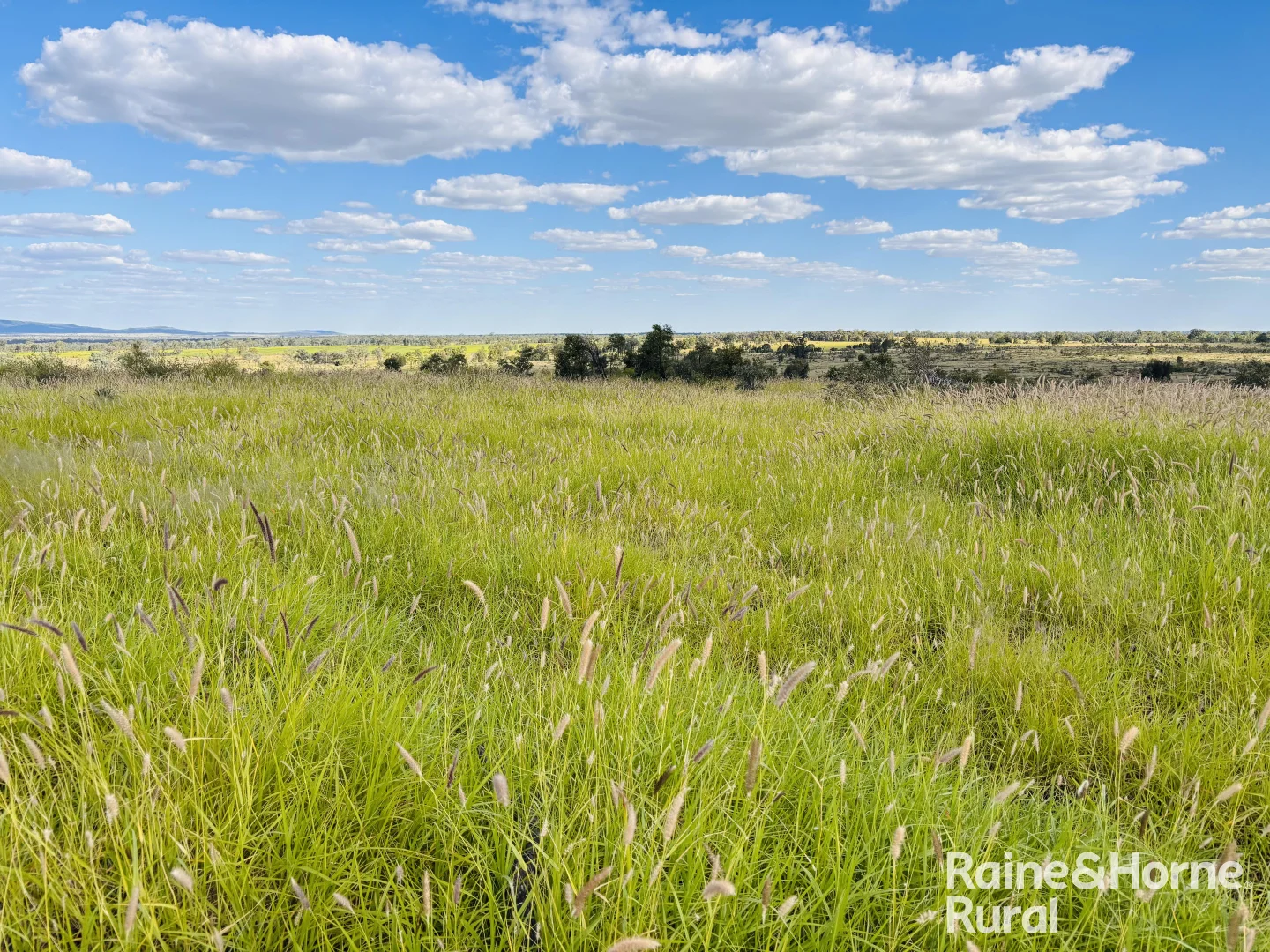 Additional image 13 of 640 Carrington Road, Roma QLD 4455