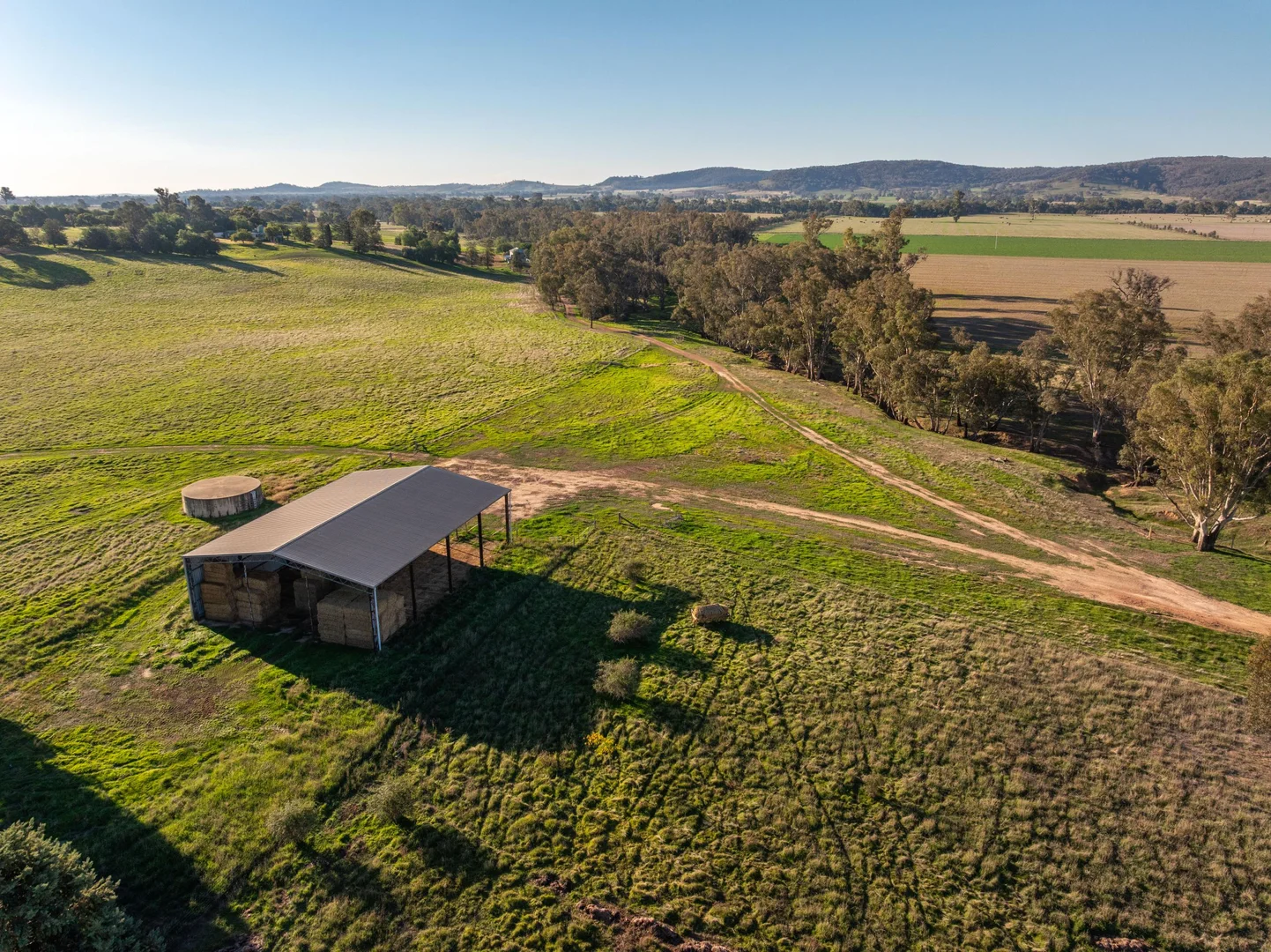 Additional image 10 of 261 Paper Forest Road, Mangoplah NSW 2652