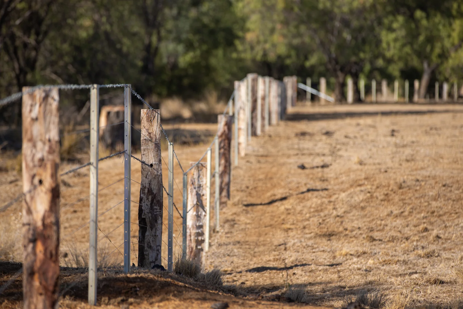 Additional image 27 of 823 Eulourie Road, Bingara NSW 2404