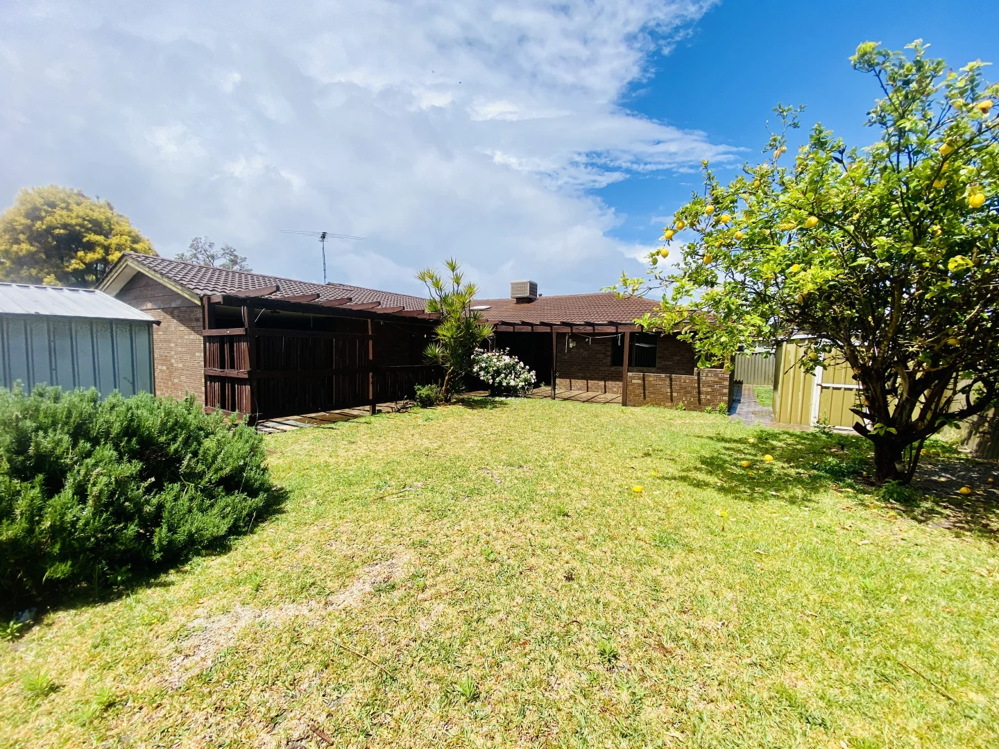 Additional image 23 of 3 Peet Court, Noranda WA 6062