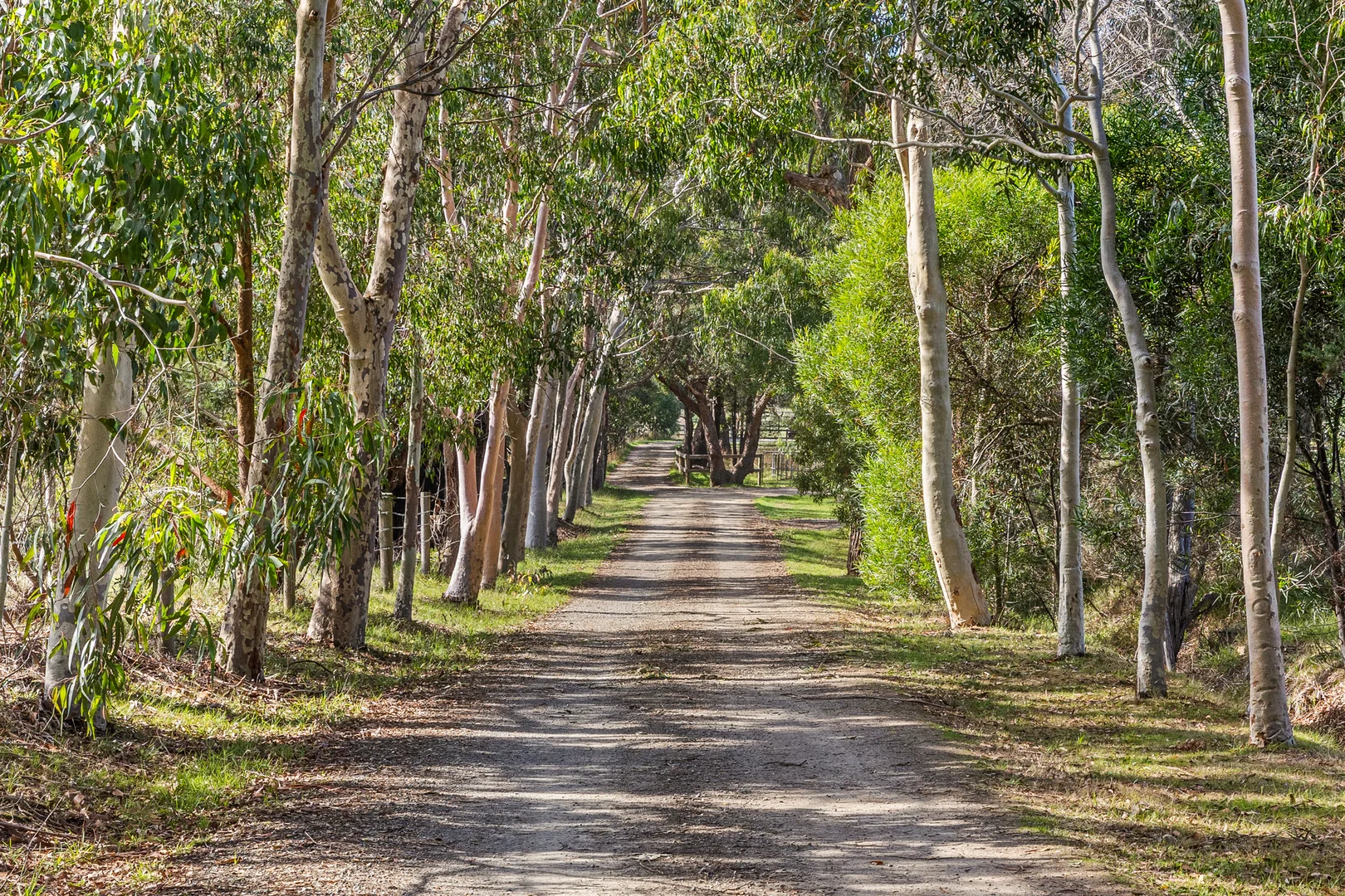 121 Balnarring Road, Balnarring VIC 3926 photo 4