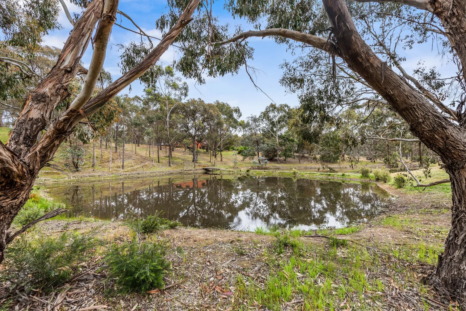 Additional image 19 of 97 Reyn Road, Sedgwick VIC 3551
