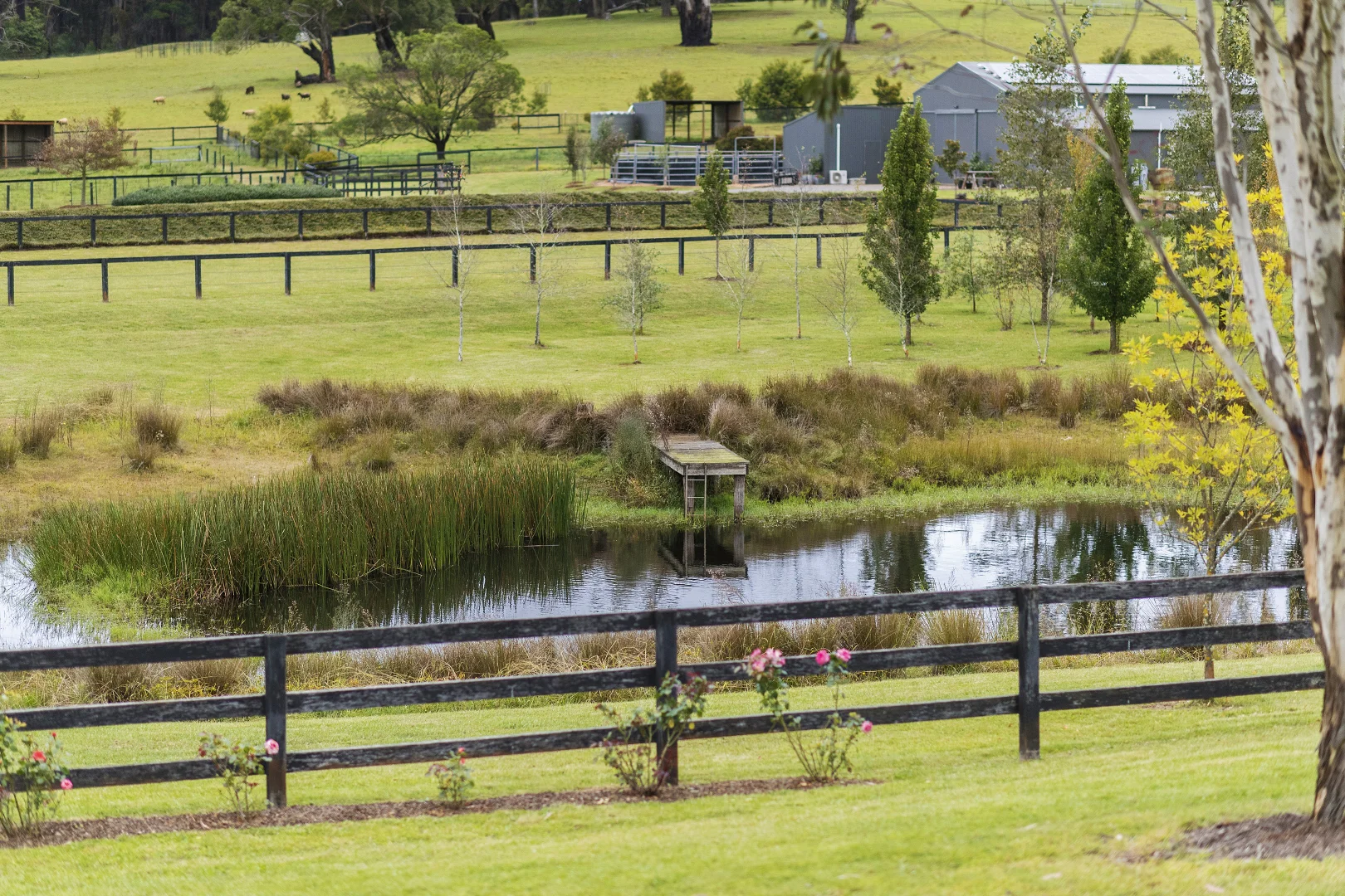 Additional image 20 of 108 Vinicombes Road, Tallong NSW 2579