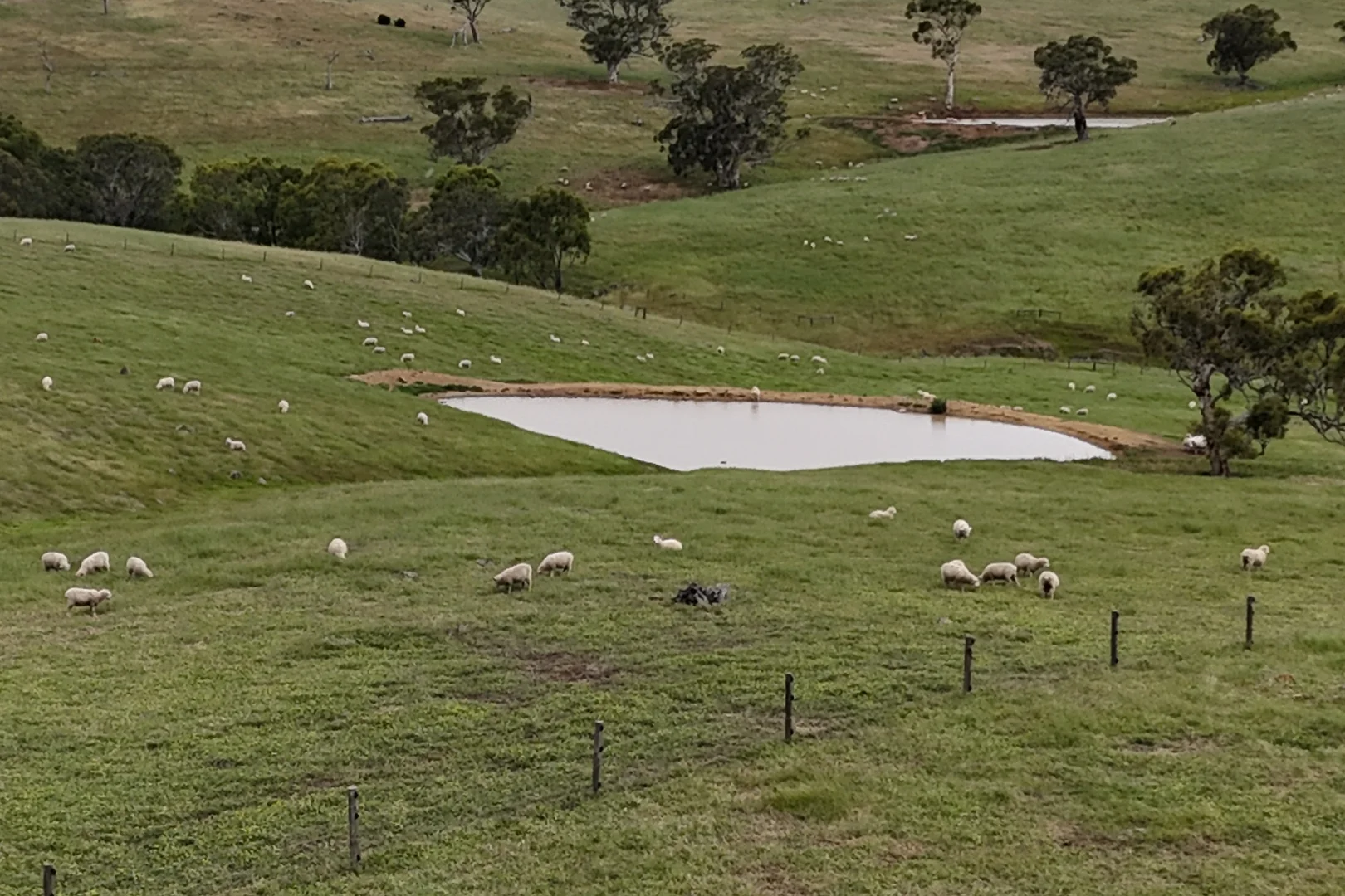 Additional image 30 of 549 Old Bull Creek Road, Strathalbyn SA 5255