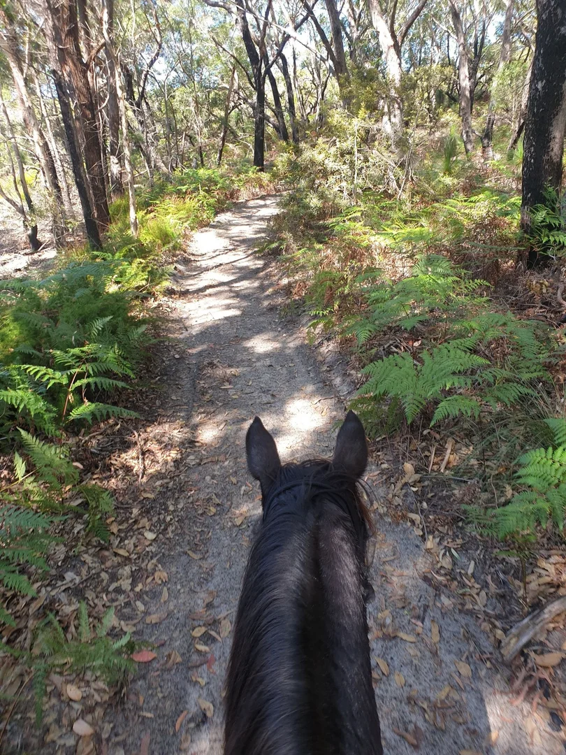 Additional image 11 of 1/154 Danns Lane, Keith Hall NSW 2478