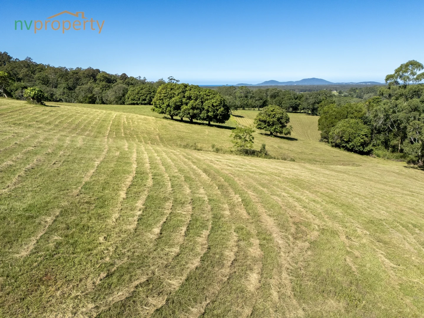 Additional image 18 of 145 Hunters Road, Yarrahapinni NSW 2441