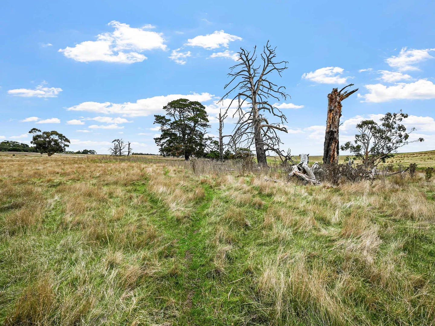 Additional image 15 of 4231 Dartmoor-Hamilton Road, Grassdale VIC 3302