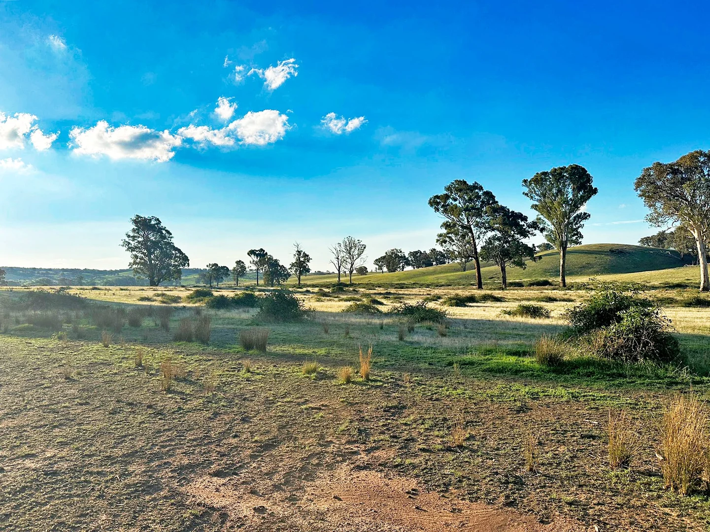 Additional image 20 of 1277 Cheviot Hills Road, Wagga Wagga NSW 2650