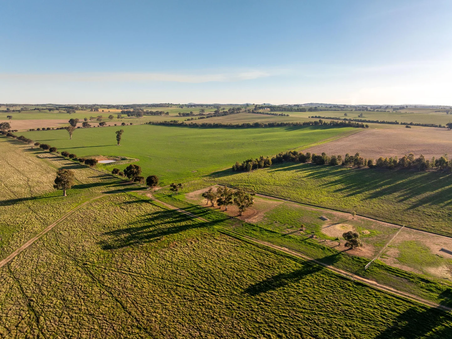 Additional image 12 of 261 Paper Forest Road, Mangoplah NSW 2652
