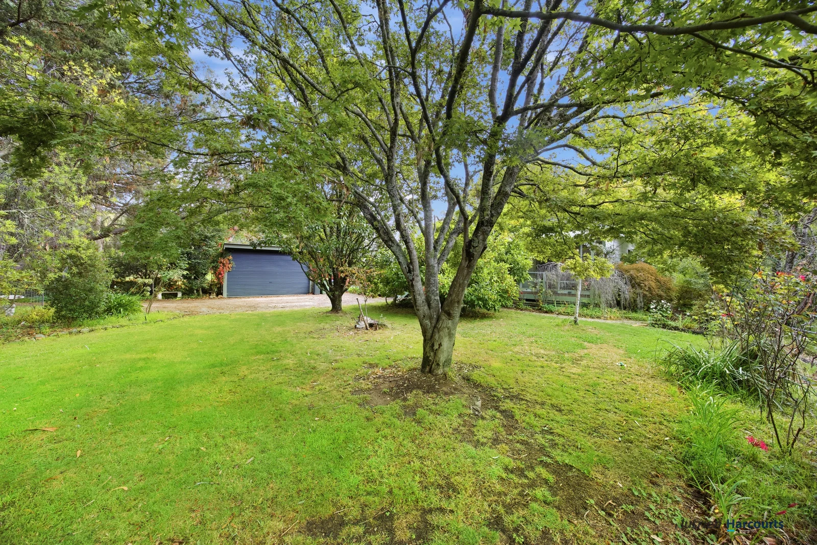 Additional image 21 of 440 Goulburn Valley Highway, Eildon VIC 3713