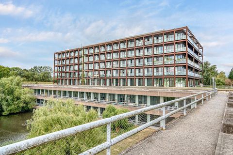 Lake Shore Drive, Bristol BS13