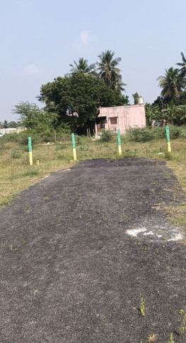 Sevvapet, Chennai