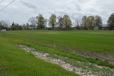 Additional image 5 of LOT B-4929 Highway 59 N/a, Norfolk, ON, N0J 1E0