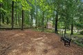 Additional image 25 of 8305 16th St, Silver Spring, MD, 20910