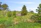 Additional image 20 of 2 Mount Steading, The Mount, Blyth Bridge, West Linton, EH46 7AJ