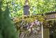 Additional image 27 of Camden Park Road, Chislehurst, Kent, BR7