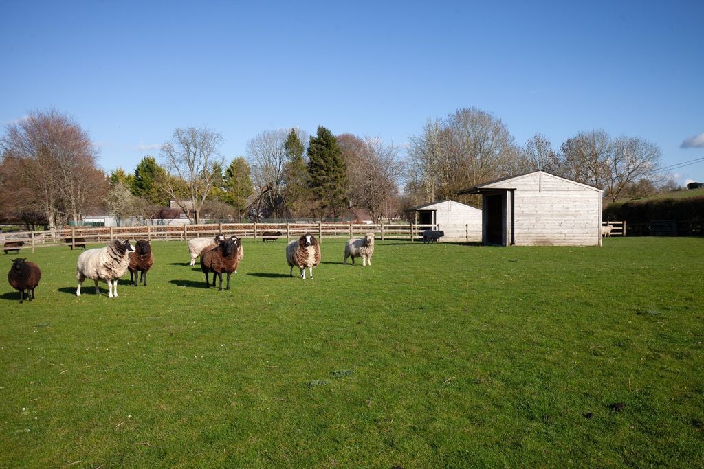 Additional image 21 of Land for saleSutton Parva, Tytherington, Warminster, Wiltshire BA12