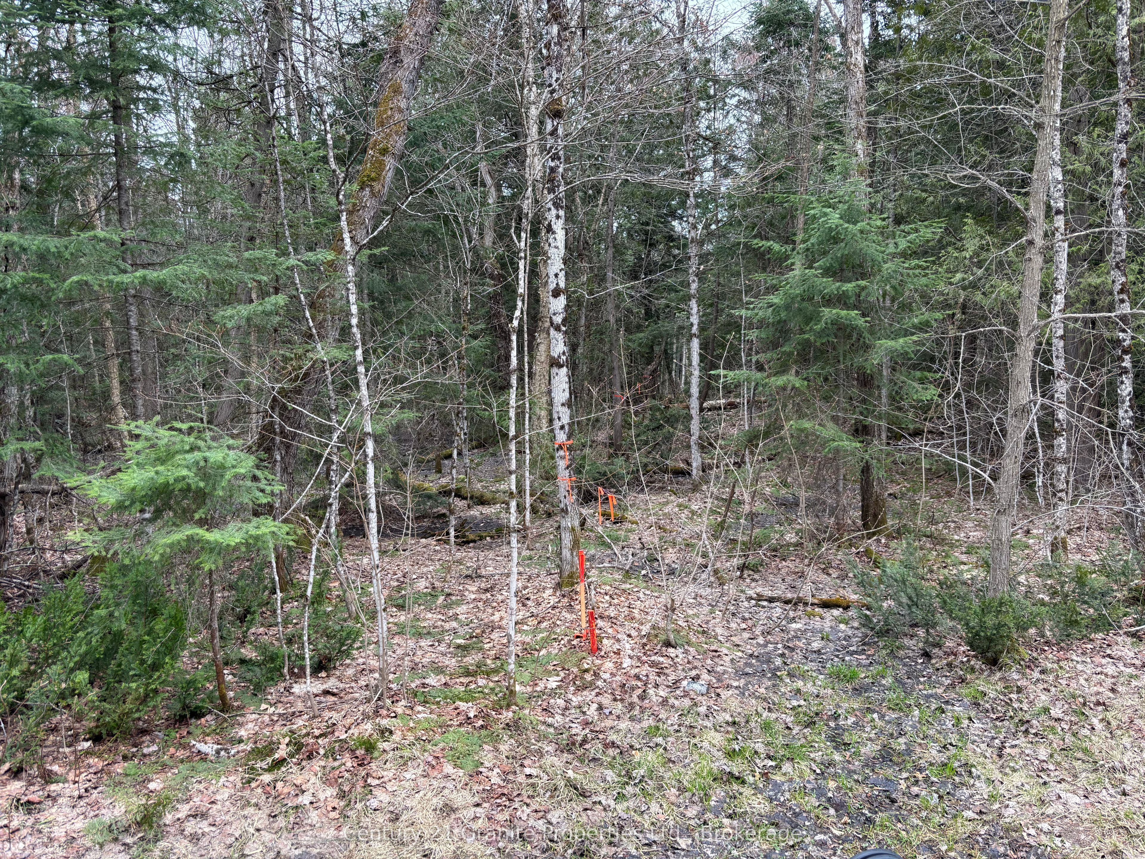 Additional image 4 of Lot 1 Loch Erne Road, Mcdougall, ON, P2A 2W7