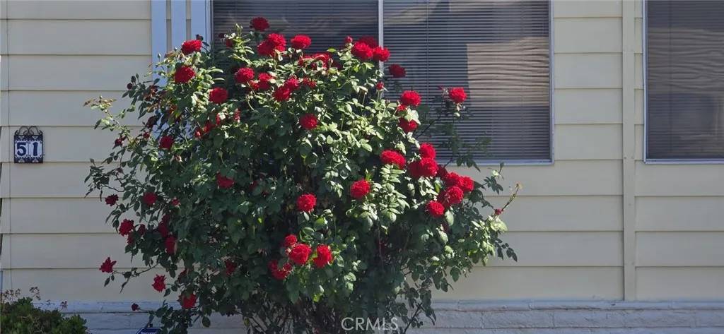 Additional image 4 of 575 S Lyon Avenue Unit 51, Hemet, CA 92545