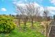 Additional image 31 of 1 Bankwood, Biggar Road, Carnwath, Lanark, ML11 8JT