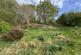 Additional image 18 of Forestry Cottages, Eredine