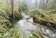 Additional image 23 of Brilley Wood (about 5 and a half acres), Whitney-on-Wye, Hay-on-Wye, Herefordshire HR3