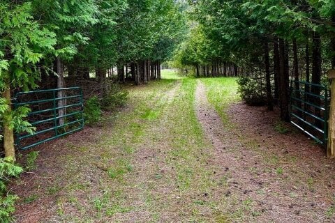 Additional image 7 of Lt 24 Conc Rd 6 Road, Chatsworth, ON, N0H 1K0