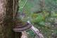 Additional image 6 of Mungo Wood, Benderloch, Oban, Argyle & Bute PA37
