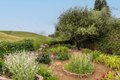 Additional image 37 of 3318 David Dr, Napa, CA, 94558