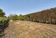 Additional image 18 of The Foreland, Canterbury, CT1