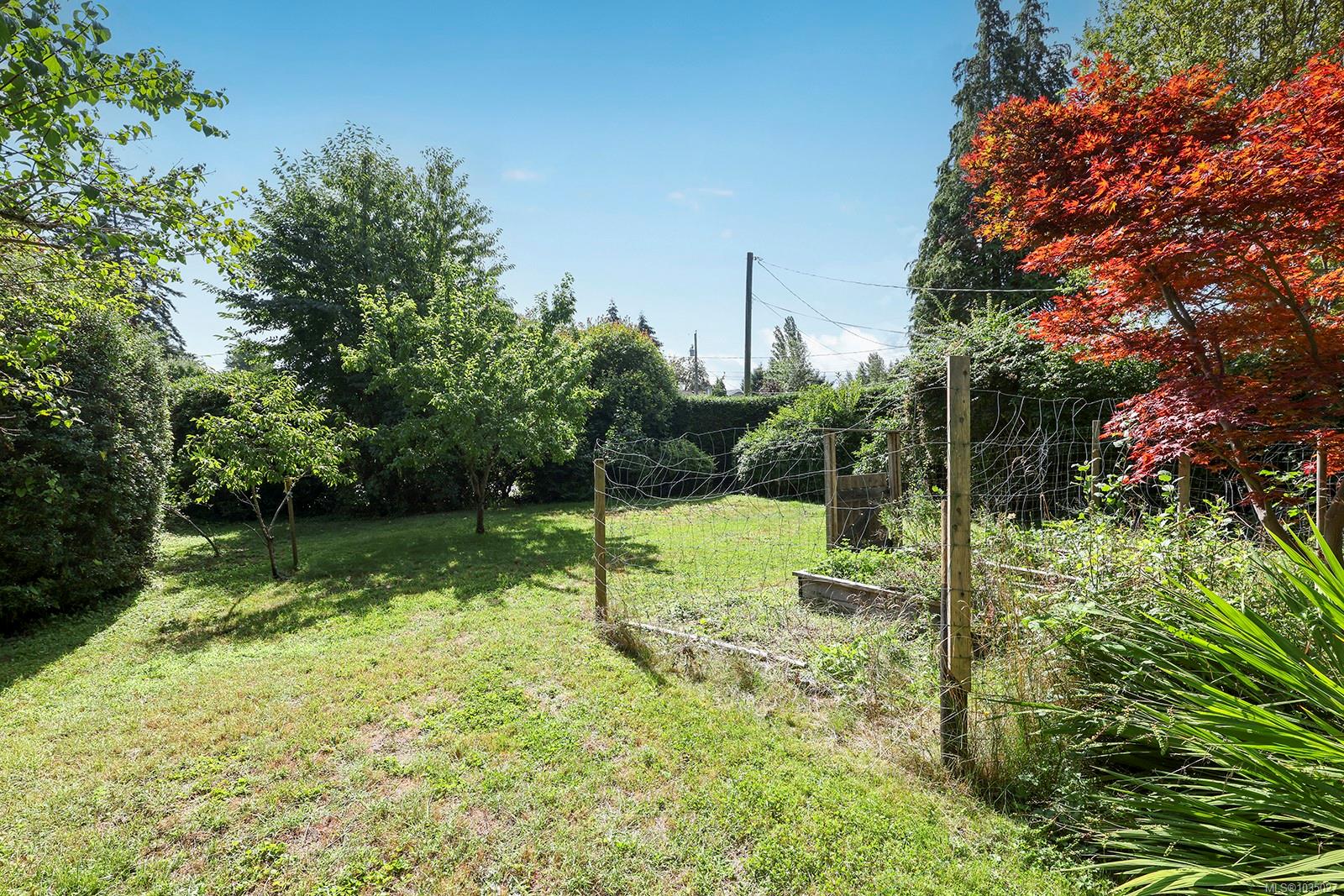 Additional image 6 of 789 3rd Street, Courtenay, BC, V9N 1E9