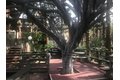 Additional image 4 of 3724 Spencer St, Torrance, CA, 90503