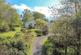 Additional image 17 of Hoo Meavy, Yelverton