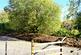 Additional image 9 of Adhamh Wood (just under 4 and a quarter acres), Benderloch, Oban, Argyle & Bute PA37