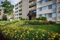 Additional image 10 of 1818 Metzerott Rd, Adelphi, MD, 20783