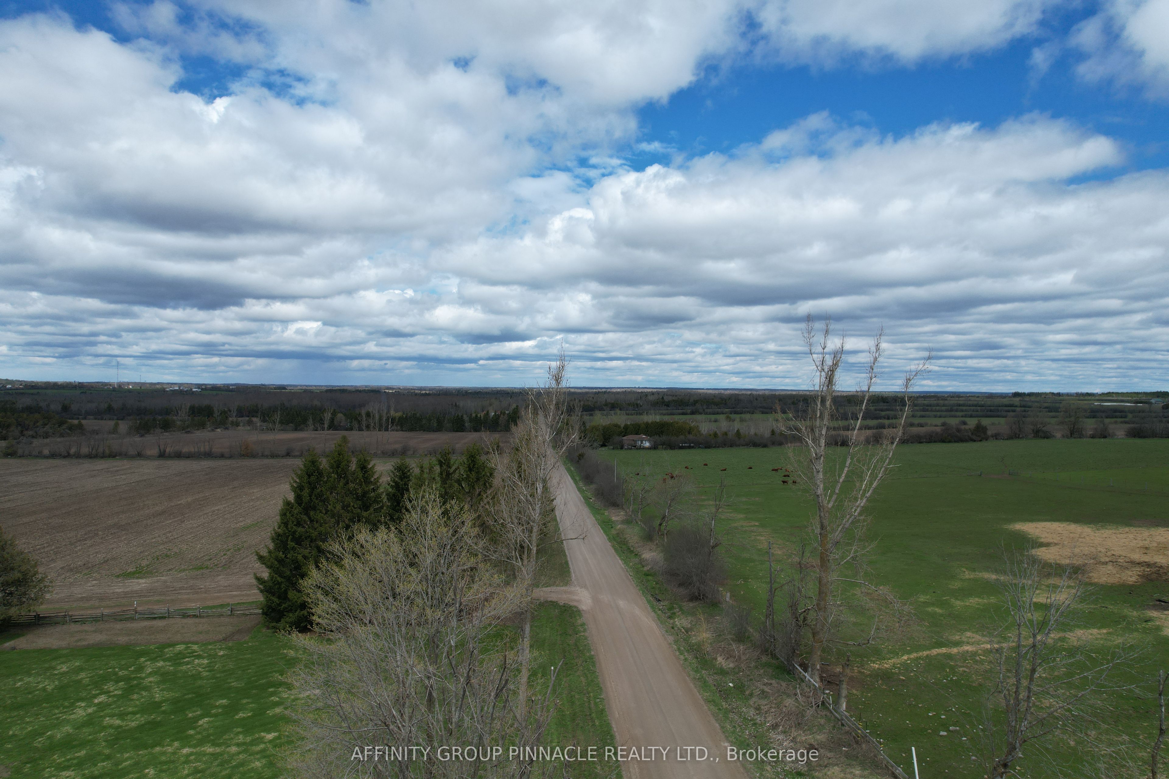 Additional image 4 of 103 Kenstone Beach Road, Kawartha Lakes, ON, K0M 1A0