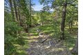 Additional image 10 of 13466 Yuba Close, Nevada City, CA, 95959