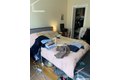 Additional image 4 of 16 Fuller St Apt 1, Brookline, MA, 02446