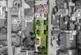Additional image 18 of Goose Lane, Wickersley, S66