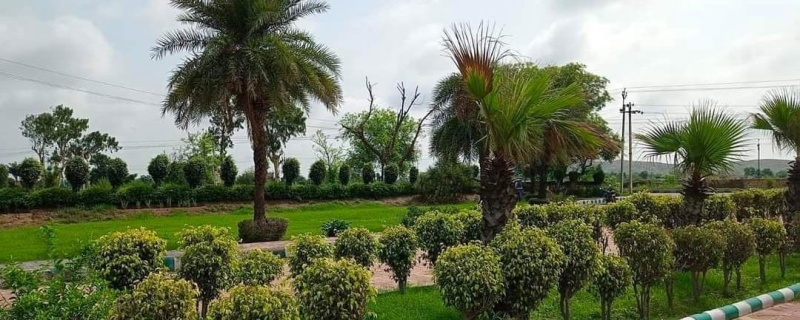 200 Ft Road, Alwar