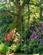 Additional image 19 of Ripsley Park, Milland, Hampshire