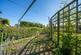 Additional image 37 of Knowbury, Ludlow, SY8