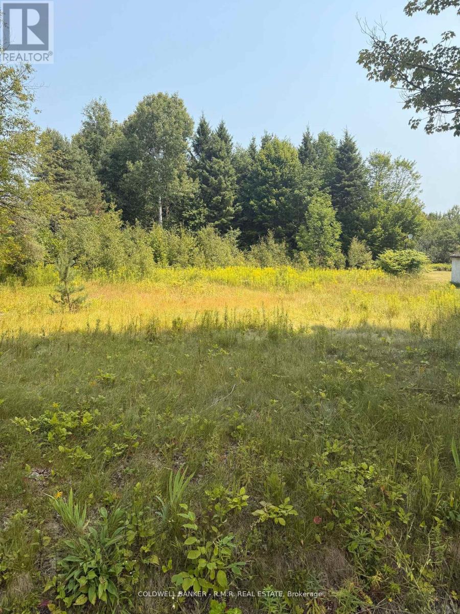 3995 BOULTER ROAD