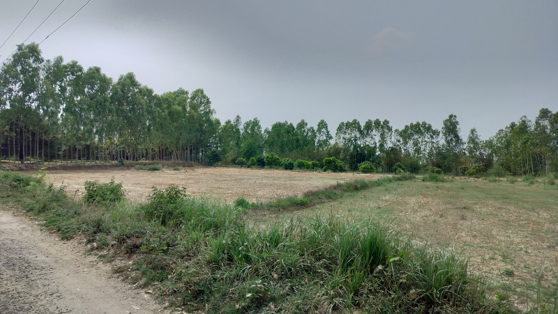 Additional image 2 of Biharigarh, Dehradun